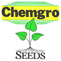 CHemgro Seeds